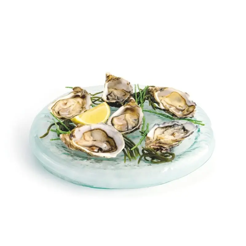Professional Glass Presentation Tray 6 Oysters - 28 x 28 x 4 cm