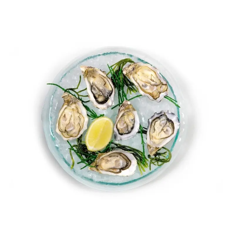 Professional Glass Presentation Tray 6 Oysters - 28 x 28 x 4 cm