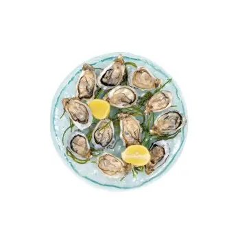 Professional Glass Presentation Tray 12 Oysters - 34 x 34 x 4 cm