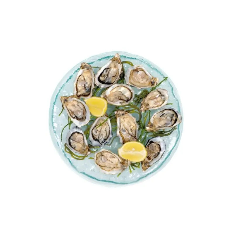 Professional Glass Presentation Tray 12 Oysters - 34 x 34 x 4 cm