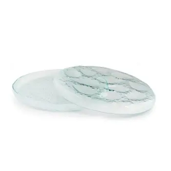 Professional Glass Presentation Tray 12 Oysters - 34 x 34 x 4 cm