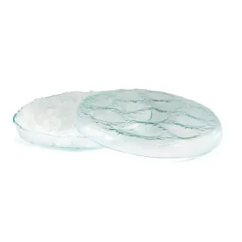 Professional Glass Presentation Tray 12 Oysters - 34 x 34 x 4 cm