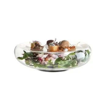 Professional Borosilicate R-Fill Plate - 22.5 x 22.5 x 5.5 cm