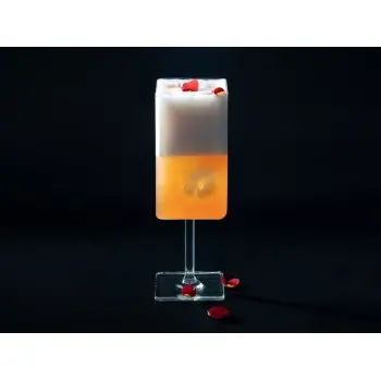 Professional Borosilicate Cubik Cup - 6 x 6 x 18 cm300 ml