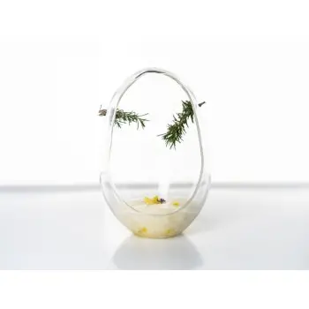 Professional Borosilicate Amazonic Cup - 12 x 12 x 19 cm210 ml