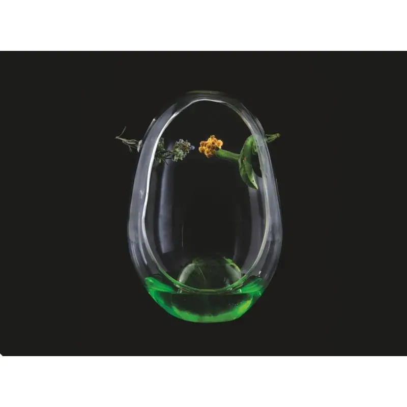 Professional Borosilicate Amazonic Cup - 12 x 12 x 19 cm210 ml