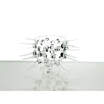 Professional Borosilicate Giant Sea Urchin - 22 x 21 x 9 cm300 ml