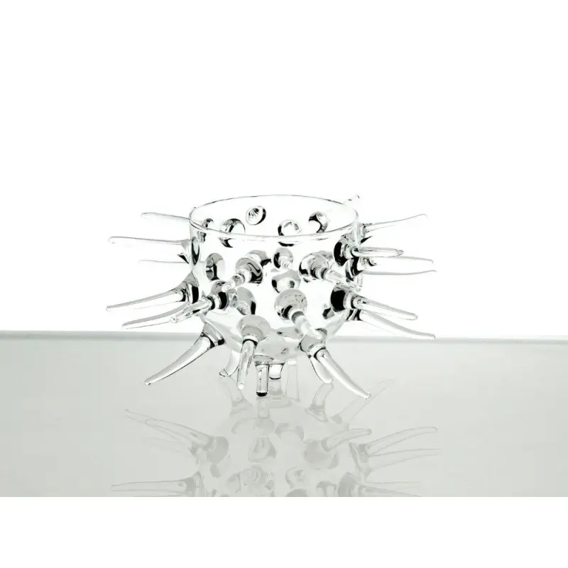 Professional Borosilicate Giant Sea Urchin - 22 x 21 x 9 cm300 ml Professional Borosilicate Giant Sea Urchin - 22 x 21 x 9 cm300 ml