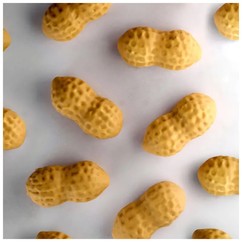 Pavoflex Professional Mini Portion Silicone Mold - Peanut by Fabrizio Fiorani - 55 mm x 26 mm x h 23 mm - 16 cavity - 20ml