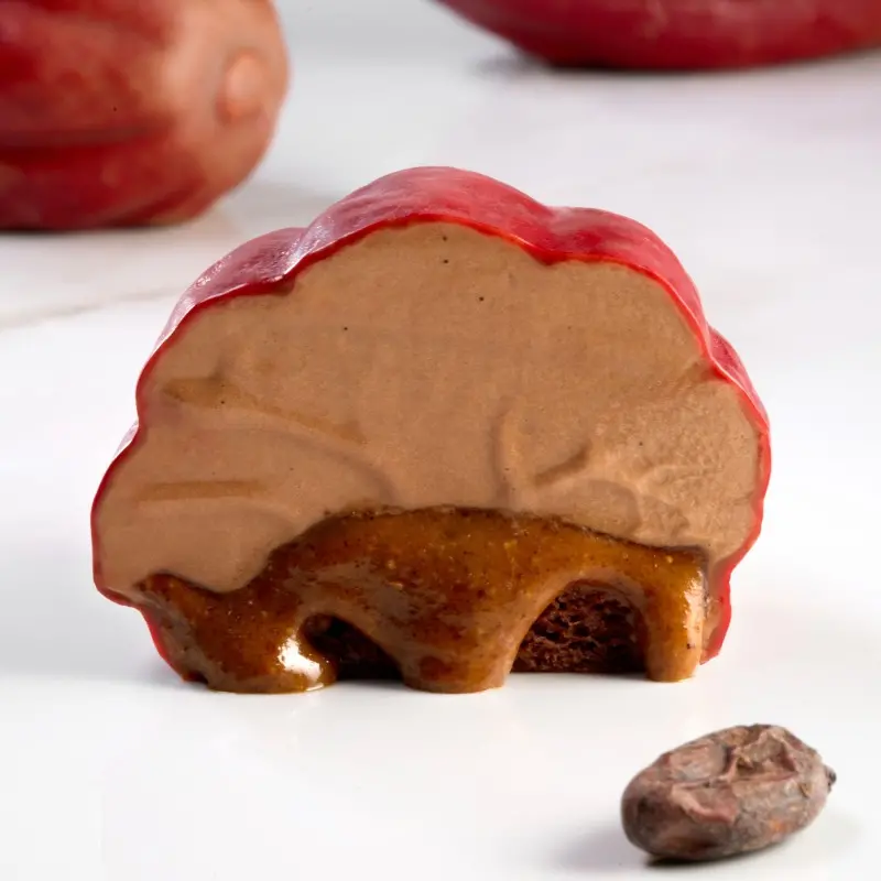 Professional Single Portion Silicone Mold - Cabosse by Emmanuele Forcone - 80 mm x 56 mm x h 46 mm - 15 cavity - 120ml