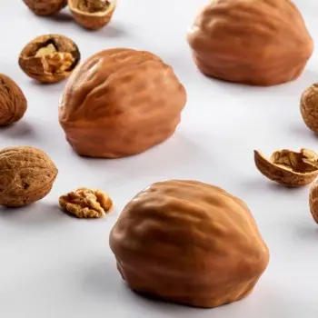 Professional Single Portion Silicone Mold - Nutshell by Fabrizio Fiorani - 78 mm x 57 mm x h 51 mm - 15 cavity - 120ml