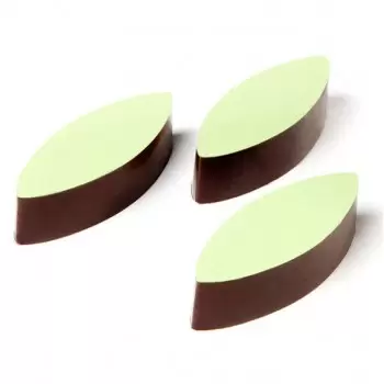 Magnetic Chocolate Molds