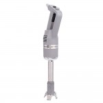 Immersion Blender