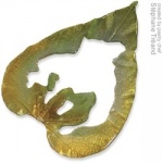 Silicone Leaf Molds