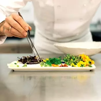 Chef's Plating Tools 