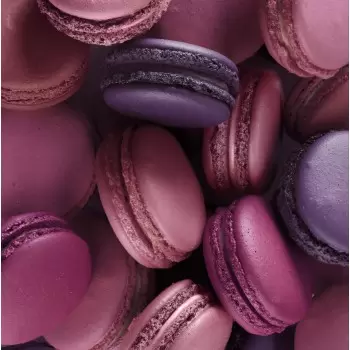 Elegance Collection Macaron Powder Color