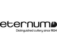 Eternum logo