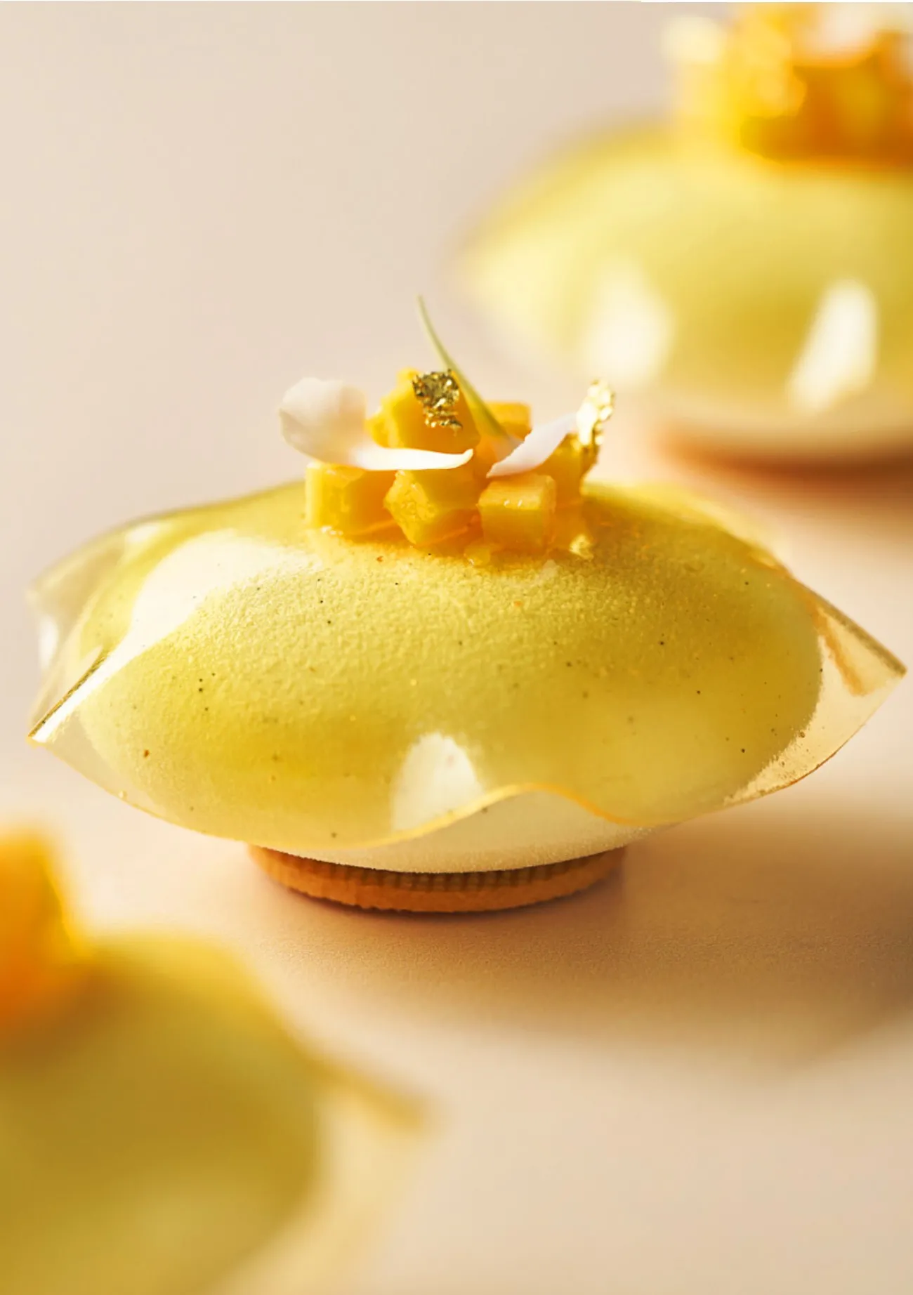 PASTRY UNIVERSE