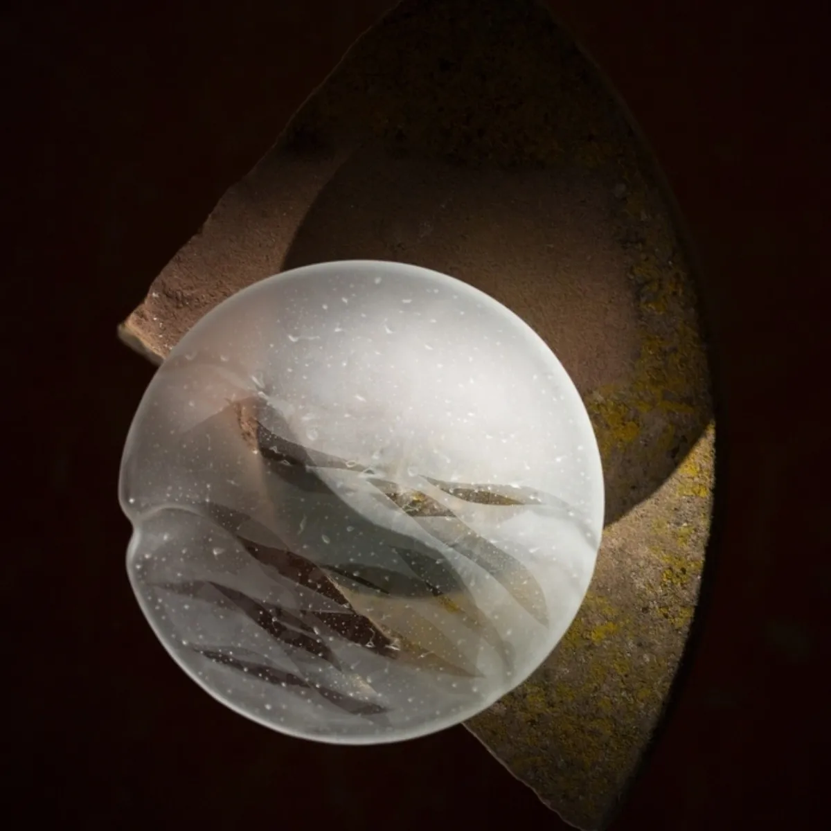 Glass Dinnerware