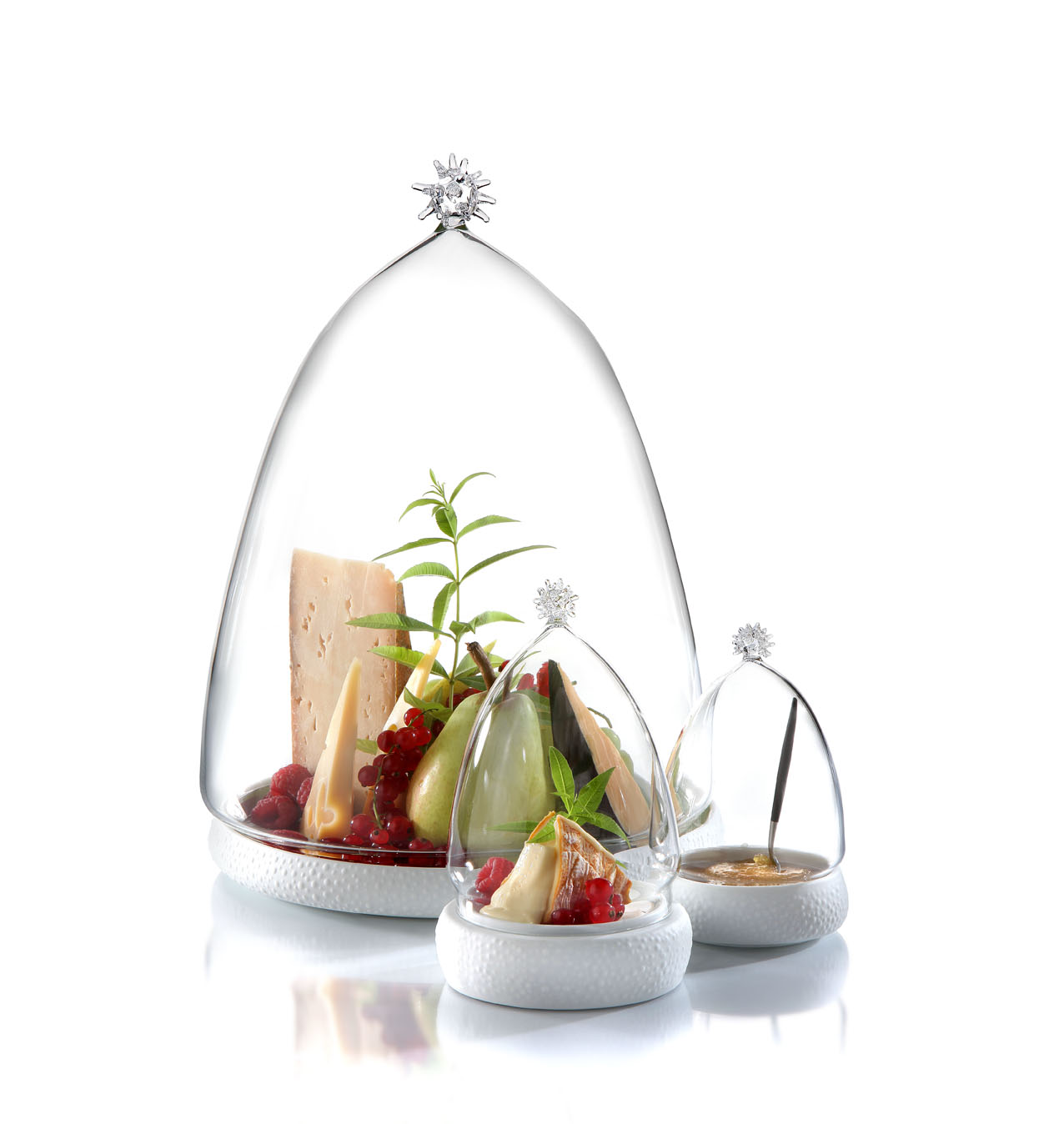 Display Cloches