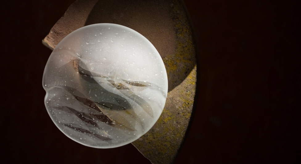 Glass Dinnerware