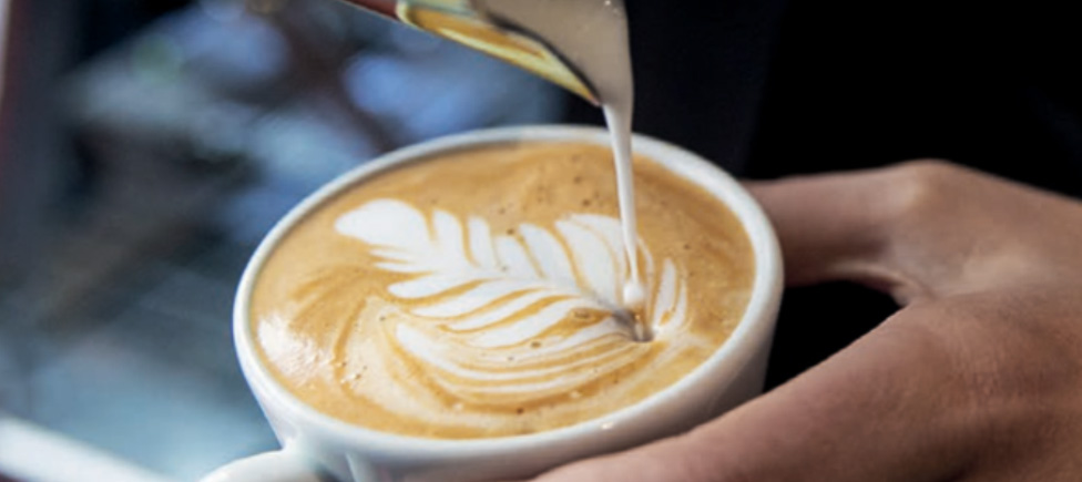 Barista Tools & Accessories